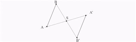 Zaznacz Punkty Symetryczne Do Podanych Względem Punktu S - Symetrie