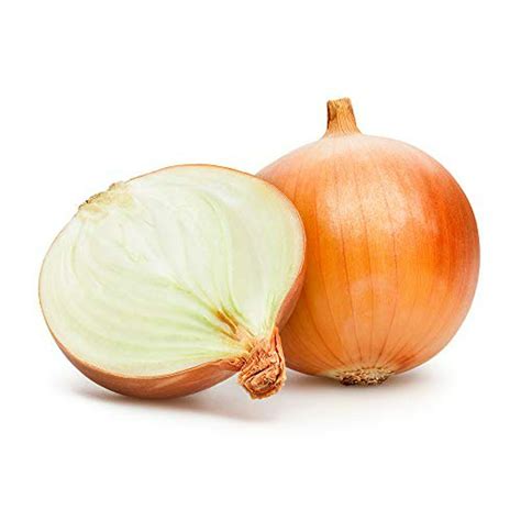 Candy Hybrid Onions Seeds 50 Heirloom Seeds Per Packet Non Gmo Seeds