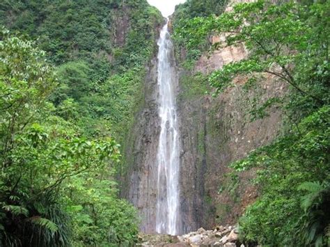 Carbet Falls Les Chutes Du Carbet Parc National 2018