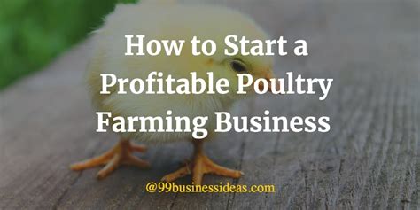 How To Start Poultry Farming Business In 10 Steps 99businessideas