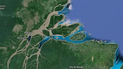 Coral Reef Discovered At The Mouth Of The Amazon River Daily Telegraph