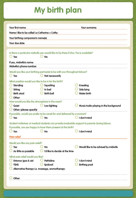 Free 23 Sample Birth Plan Templates In Pdf Ms Word Apple Pages