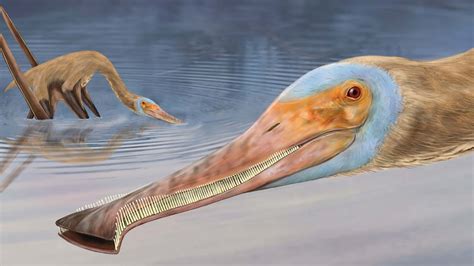 New Fossils Bring The Wide World Of Pterosaurs To Life