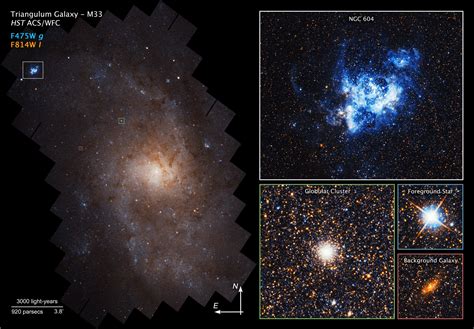 Triangulum Galaxy Reveals Stunning Stellar Symmetry In Amazing Hubble