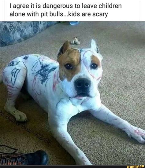 I Agree It Is Dangerous To Leave Children Alone With Pit Bullskids