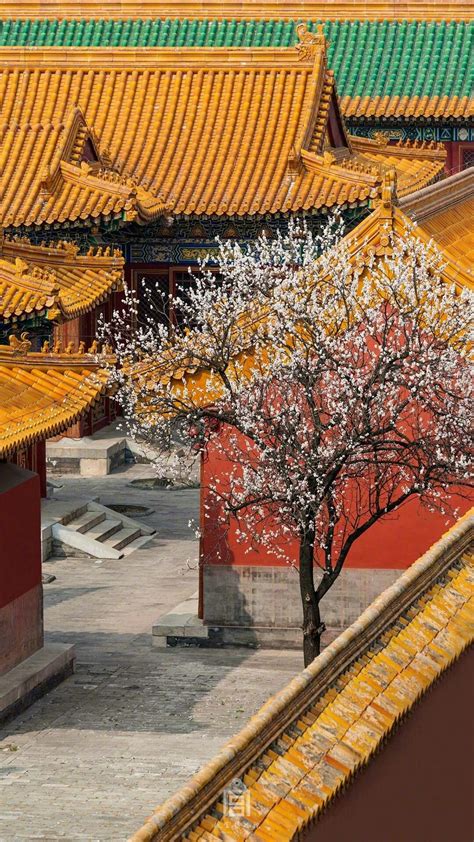 Pin By Josette On 中国风 Chinese Traditional China Architecture