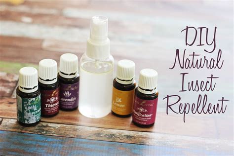 It is clinically proven to repel mosquitoes and prevent bug bites! DIY Natural Insect Repellent - Sweet T Makes Three