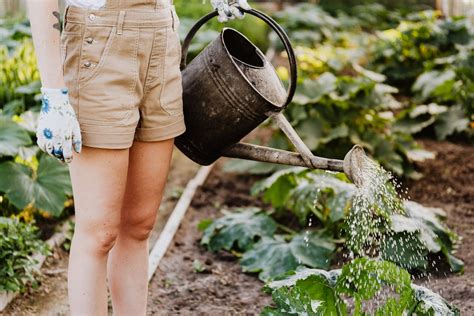 Horticultural Therapy How Gardening Benefits Individuals With Autism