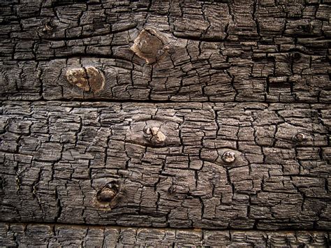 Free photo: Charred Wood Texture - Backdrop, Somadjinn, Natural - Free ...