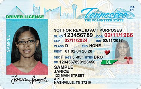 Tn Drivers License Renewal Know All About It
