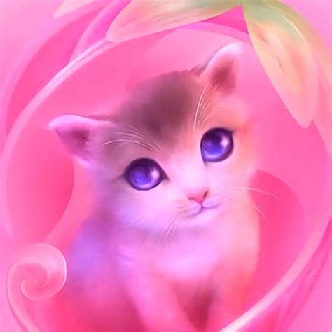 Pink Kitten Youtube