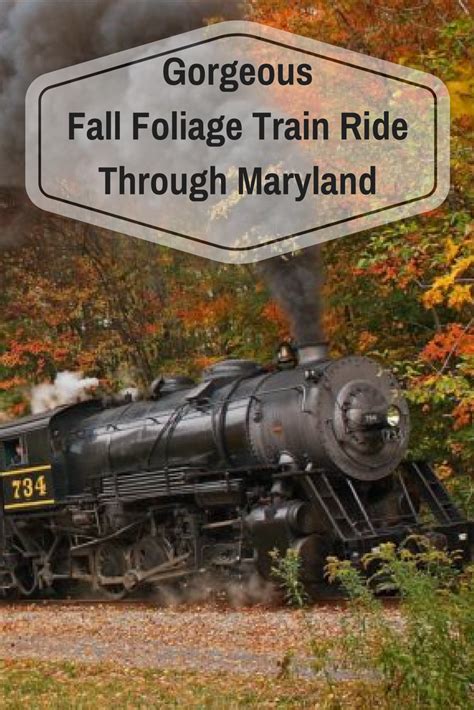 Take This Fall Foliage Train Ride Through Maryland For A One Of A Kind