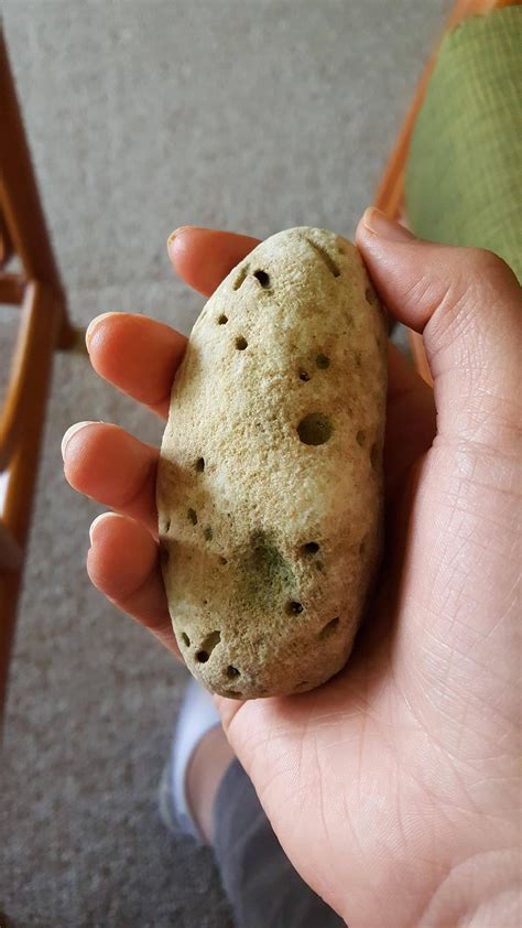 This Rock Looks Like A Potato Mildlyinteresting