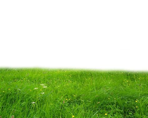 Download Free Grass High Quality Png Icon Favicon Freepngimg