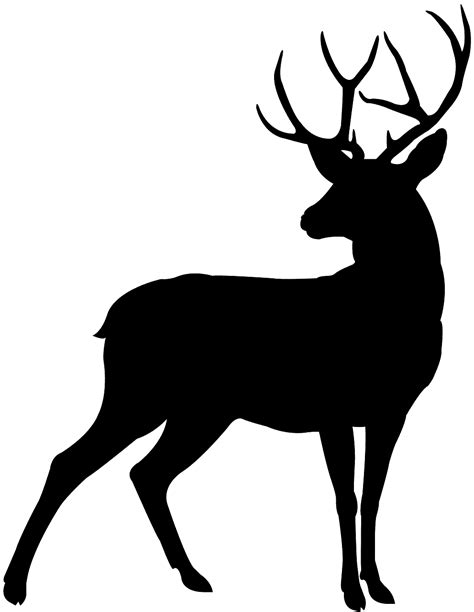 782 Buck Deer Silhouette Svg