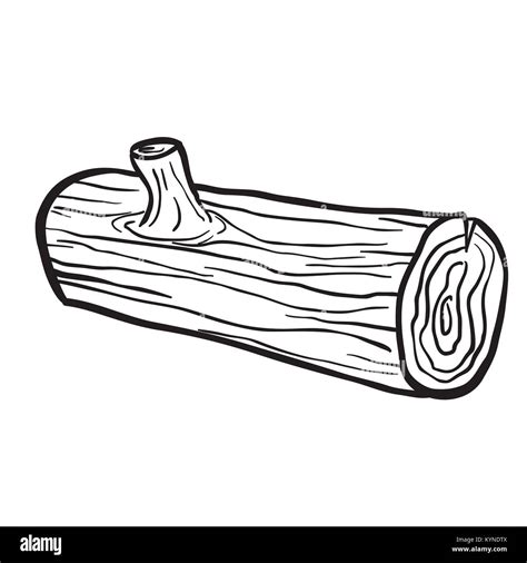 Coloring Logs Wood Tree Log Printable Colouring Clipart Designlooter