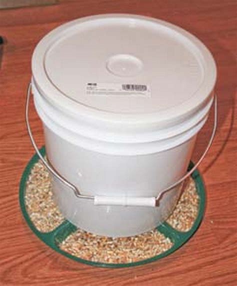 Diy Chicken Feeder 5 Gallon Bucket ~ Raised Chicken Coop