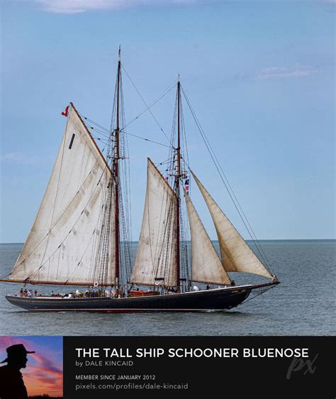The Tall Ship Schooner Bluenose Ii By Dale Kincaid Tall Ships