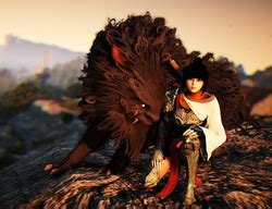 The black desert online publishing responsibilities for na and eu have been handed over to its developer, pearl abyss, on february 24. Tamer - Black Desert Online Wiki