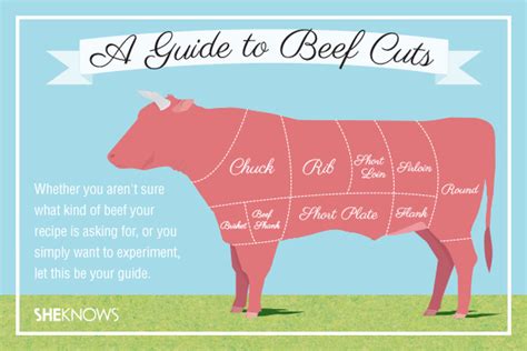 A Guide To Beef Cuts Sheknows
