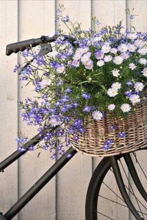 95 Flower Baskets On Bicycles Ideas Bike With Basket Bicycle Bloom