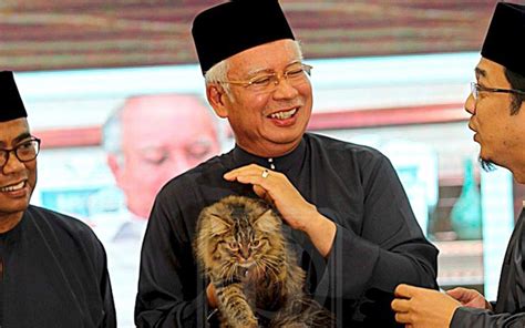 Dato' seri najib lahirkan di kuala lipis, pahang. Rakyat Negara Mana Paling Sukakan Kucing Di Dunia? | Iluminasi