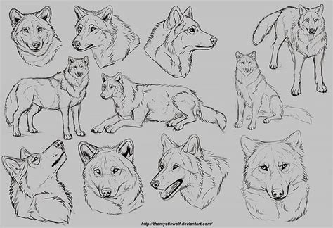 20 Drawings To Help You Learn How To Draw A Wolf Beautiful Dawn Designs
