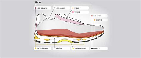 Anatomy Of A Running Shoe Asics South Africa