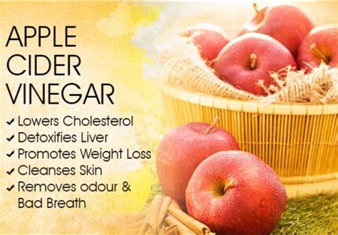 Why You Should Take Apple Cider Vinegar Foodvez India