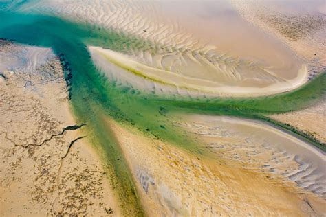 Hoe Onze Deltanatuur Het Hoofd Boven Water Houdt