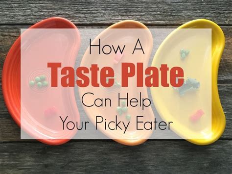 Want To Help Your Picky Eater A Taste Plate Is A Game Changer