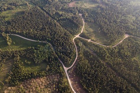 Winding Roads And Crossroads In The Forest Captured From Above Stock