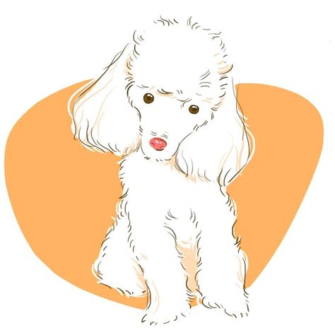 We'll walk you through the basics of creating doodle polls in this article: Poodle Doodle Keto / Low Carb Poodle Doodles (THM-S, Sugar Free) # ... - Premium quality ...