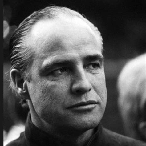 Previous cats and cats from the past. Marlon Brando. | The godfather, Marlon brando, Marlon