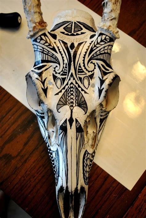 Painted Animal Skull I Think I Might Start Doing This Painted