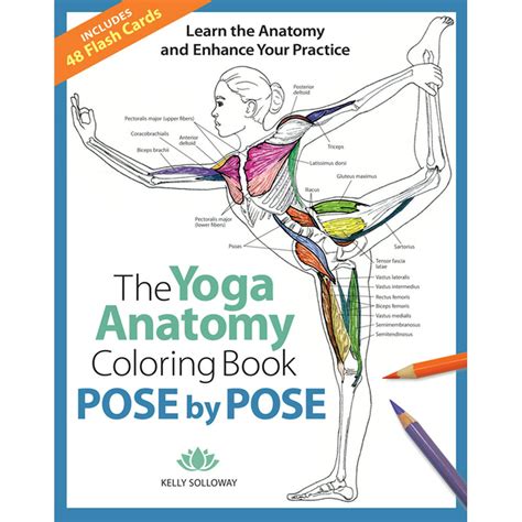 the yoga anatomy coloring book pose by pose volume 2 learn the anatomy and enhance your