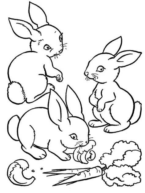 Baby Farm Animals Coloring Pages For Kids Disney