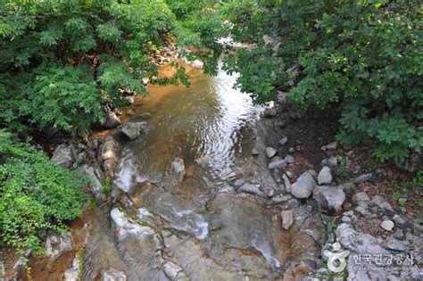 원시 자연의 아름다움을 만끽하는 홍천 계곡 여행