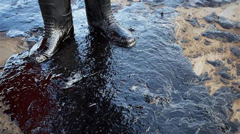 50th Anniversary Of California Offshore Oil Spill Marked