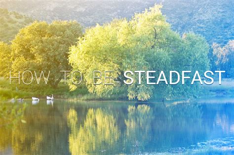 How to be Steadfast - Striving for Truth