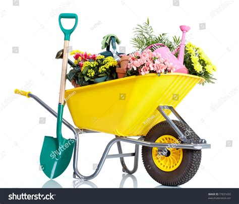 Gardening Wheelbarrow Flowers Isolated Over White Stock