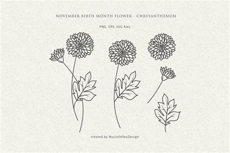 November Birth Month Flower Chrysanthemum Flower 1847953