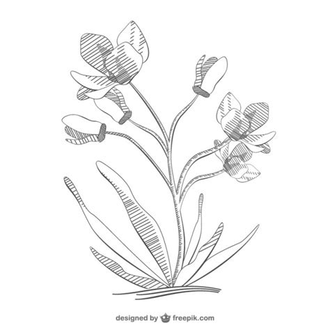 Free Free 208 Flower Svg Sketch SVG PNG EPS DXF File