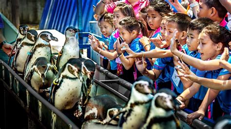 องค์การสวนสัตว์ฯ เปิดสวนสัตว์ทั่วไทย ฉลองวันตรุษจีน-วันวาเลนไทน์ - ข่าวสด