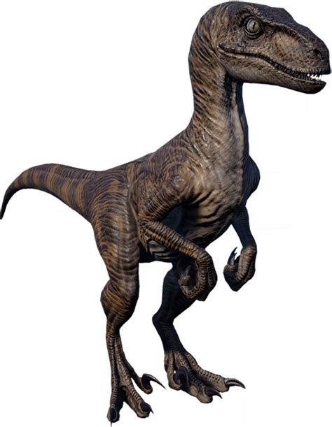 Velociraptor Jurassic World Evolution Wiki Fandom Dinosaur