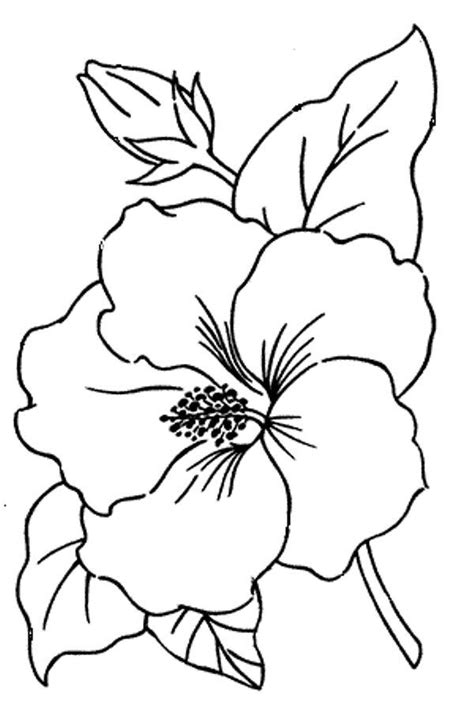Bunga Raya Lukisan Kartun How To Draw And Colouring Hibiscus Flower
