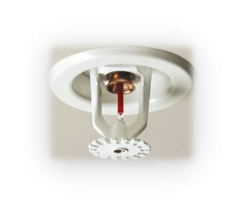 Home Fire Sprinkler System Design HomesFeed