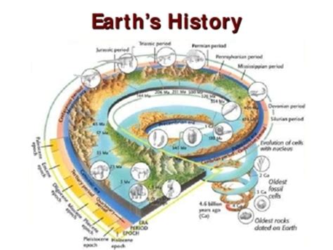 History Of The Earth Timeline Timetoast Timelines