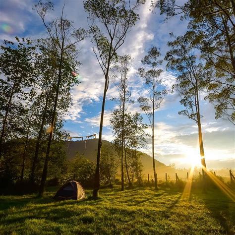 Objek wisata ranca upas bandung di ciwidey kampung cai ranca upas, alamat dan lokasi dekat denga tempat wisata lain macam kawah putih dan situ patengan, htm murah, biaya parkir dikenakan, ada paket camping, kemah, penangkaran rusa, rute jalan mudah, kampung cai dan penginapan, foto. Menikmati Wisata Alam Di Ranca Upas | Katalog Tempat Wisata & Liburan