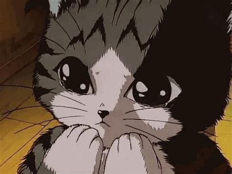 Pin By Paradise On Hdbdjxb Nea Cute Anime Cat Anime Anime Cat